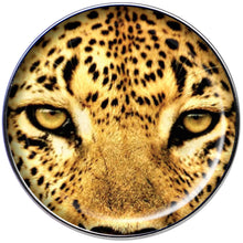 16G 1/4 Full Color Leopard Eyes Tragus Cartilage Earring
