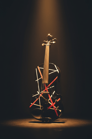 Wrap Electric Acoustic Violin