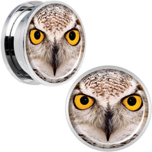 Full Color Owl Steel Screw Fit Plug Set 20mm
