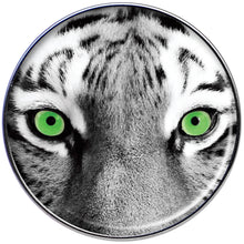 16G 1/4 Black White Tiger Eyes Tragus Cartilage Earring